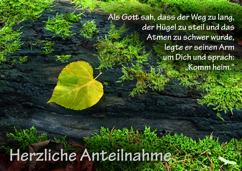 Als Gott Sah Dass Der Weg Zu Lang Englisch Herzliche Anteilnahme - Als Gott sah, dass der Weg zu lang, (Faltk