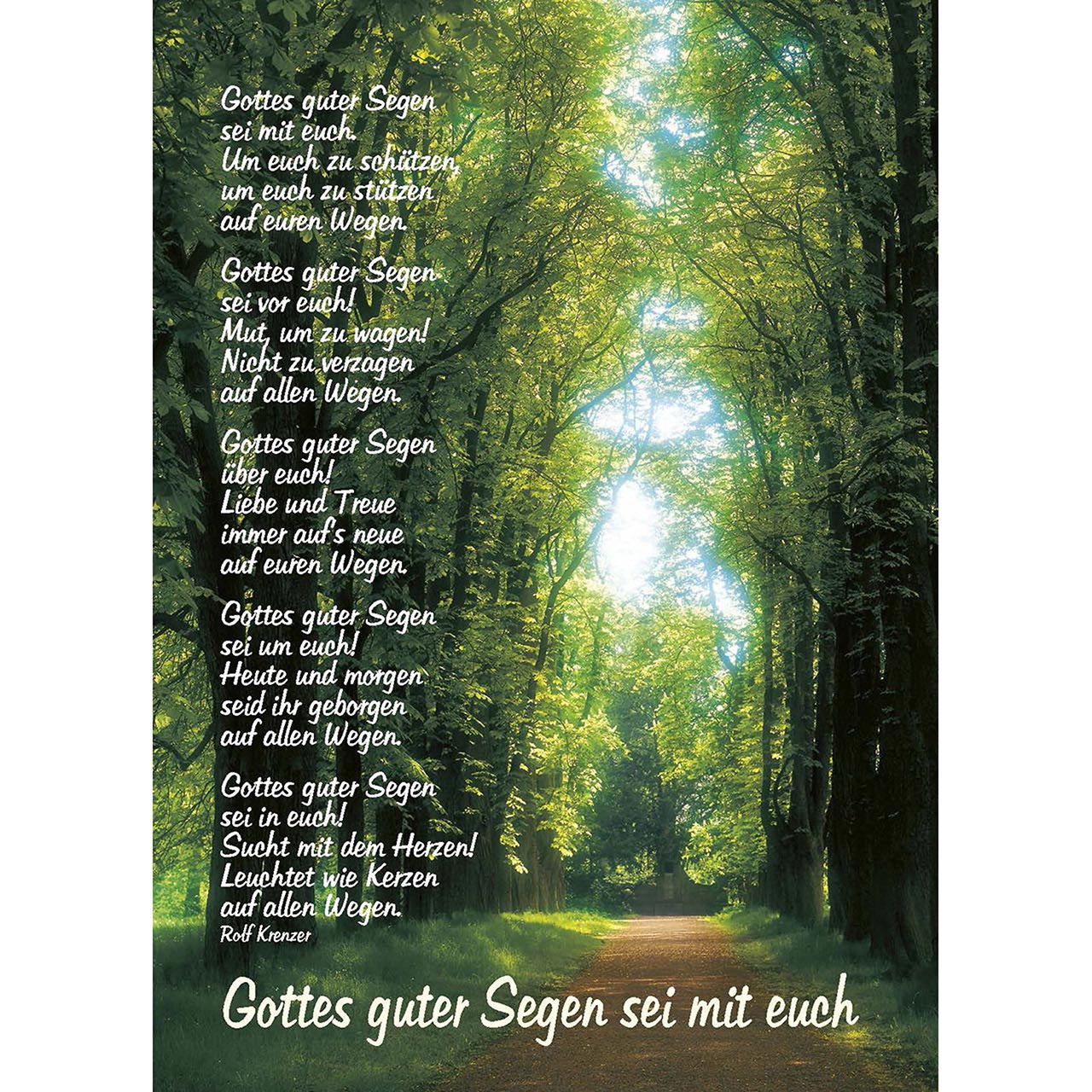 gottes guter segen ist wie ein großes zelt text (4 Postkarten) Lens Color:ULTRA Bronze innertält Cane Creek Thudbuster ST